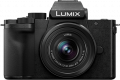 Panasonic Lumix DC-G100 (Lumix DC-G110)