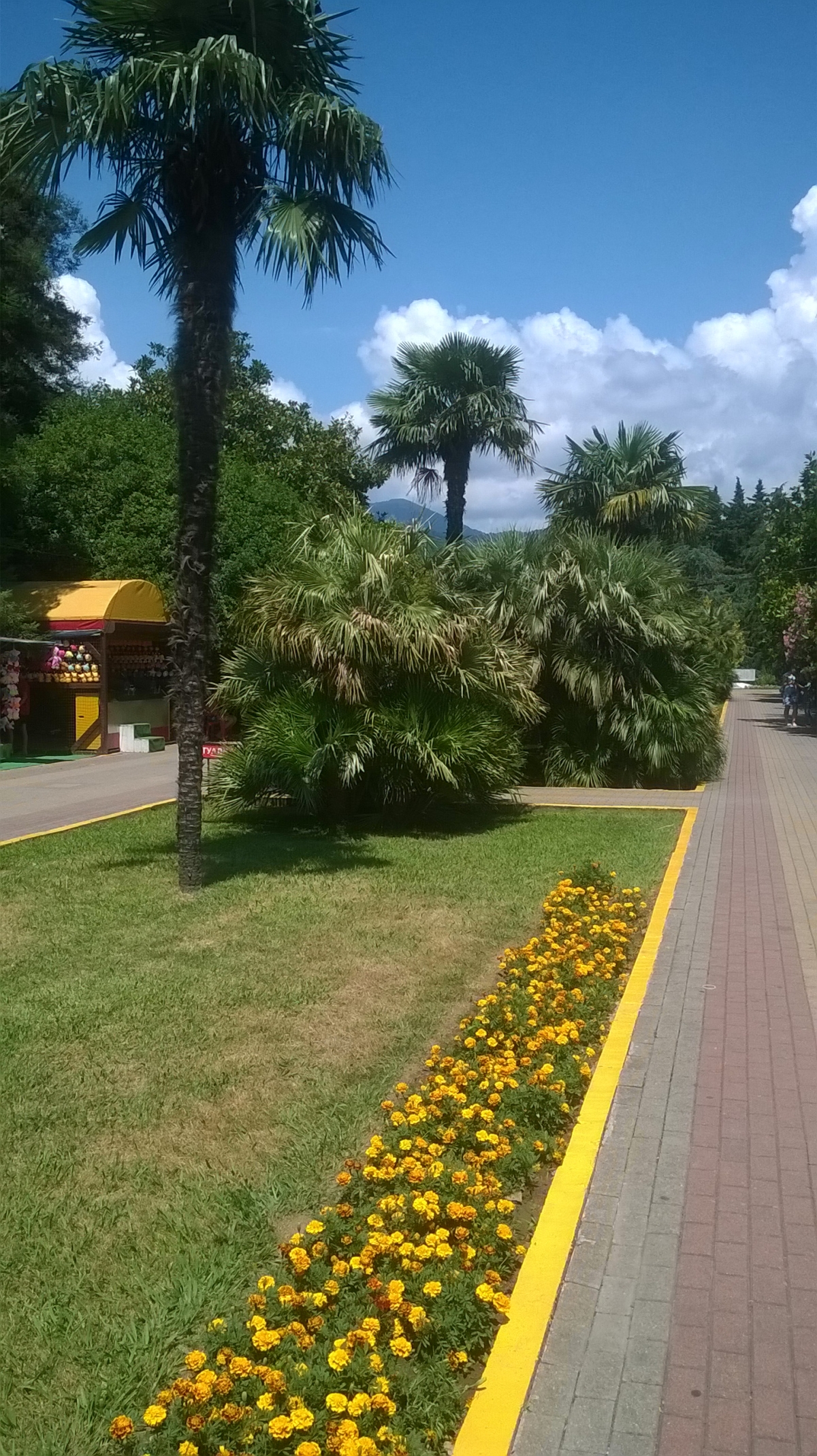 Nokia Lumia 520 camera sample Photo. Captured without flashlight at Daylight. Orientation: Portrait. ISO: 100. Exposure time: 960/1000000. Focus: 24000/10000. Original size: 1456x2592. Uploaded By anonymous At 05 Jan, 2019